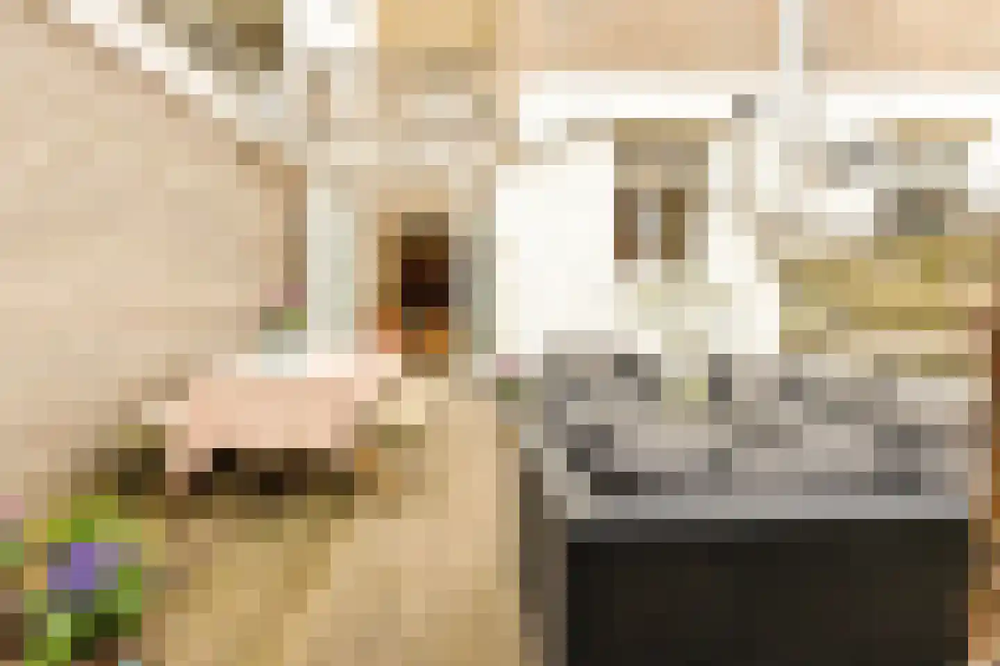 Van Ostadestraat 306 H Amsterdam thumbnail 19