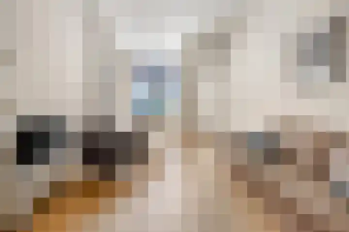 Van Ostadestraat 311 H Amsterdam thumbnail 4