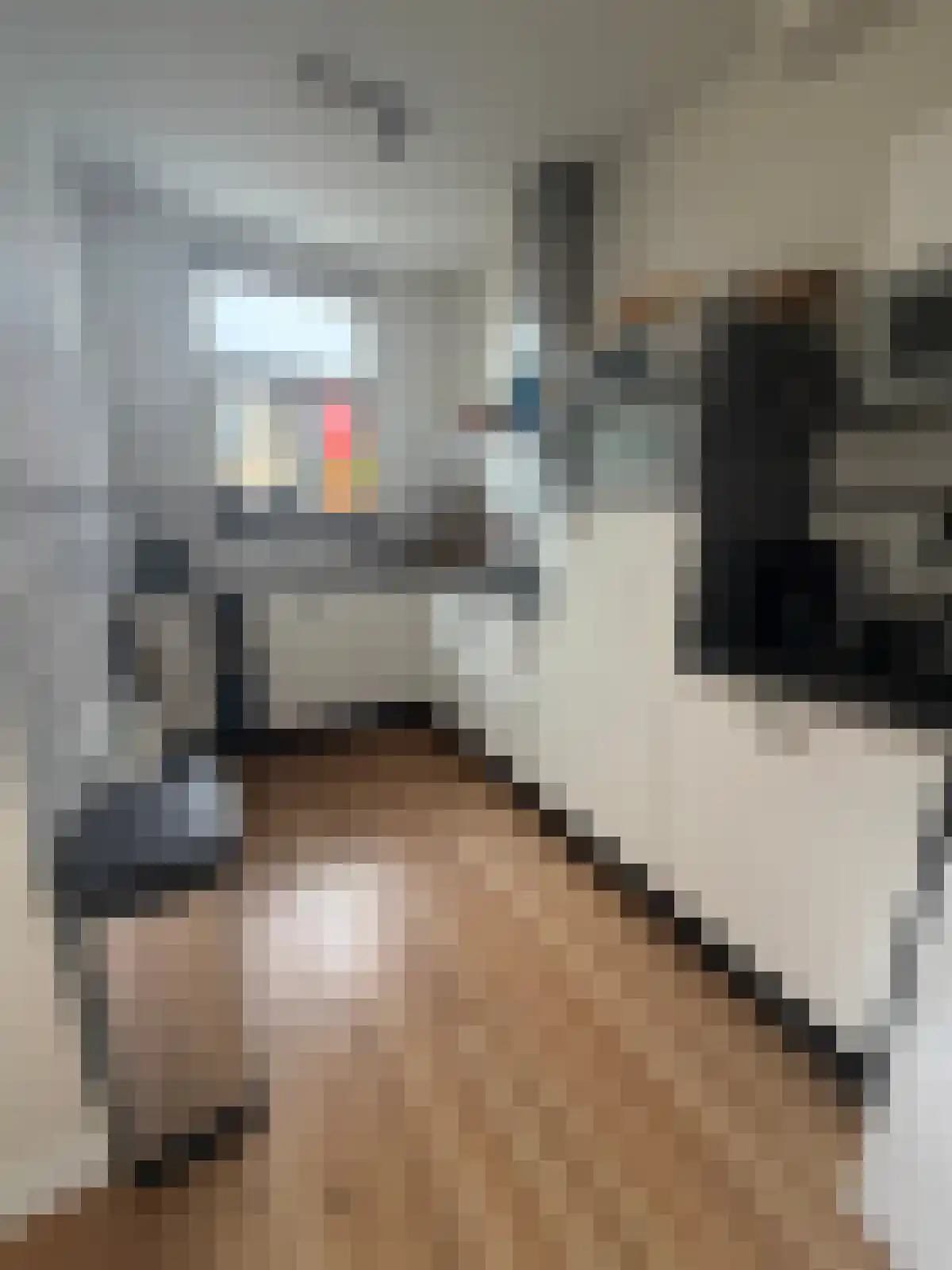 Van Ostadestraat 316 Amsterdam thumbnail 6