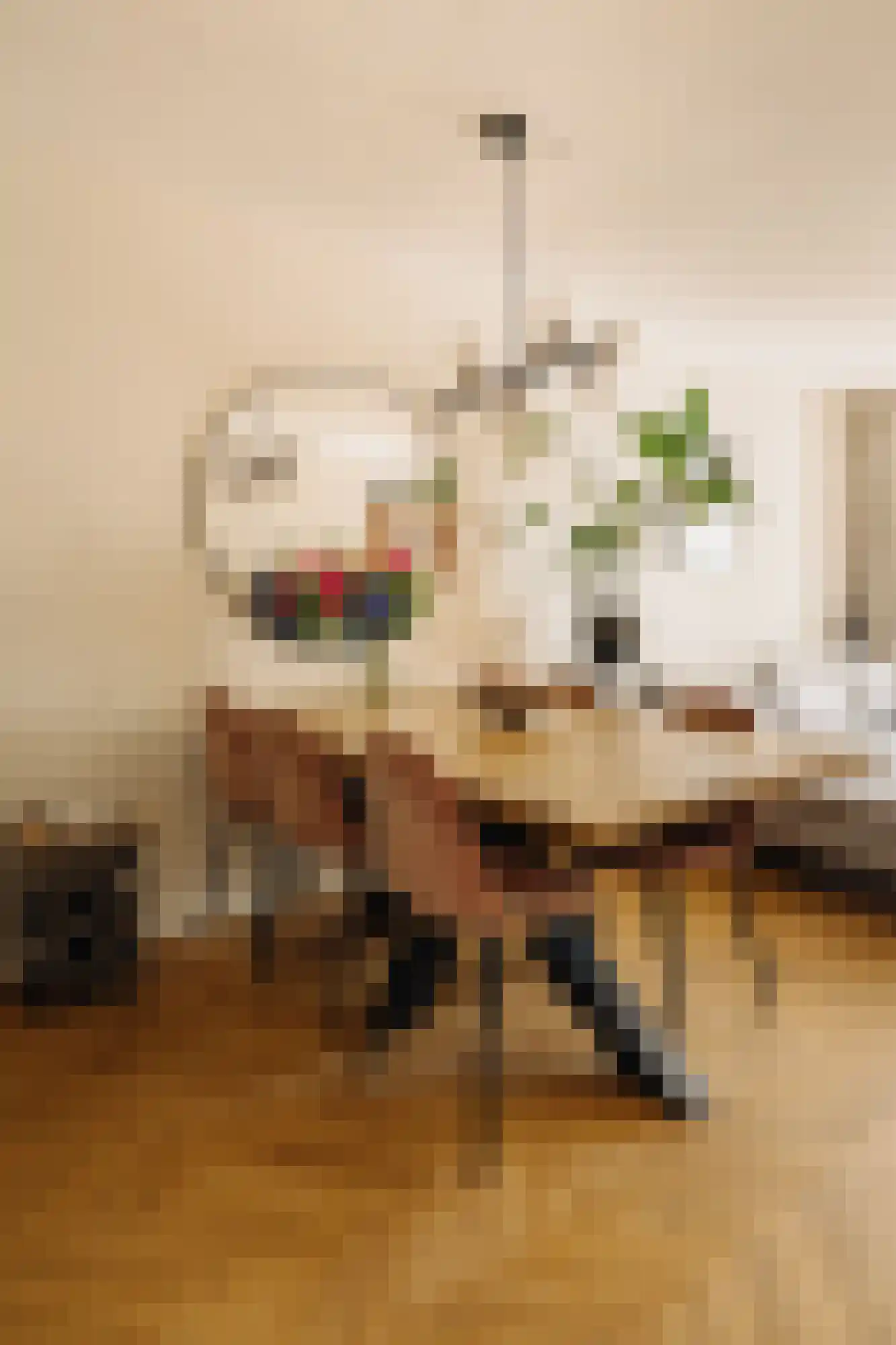 Van Ostadestraat 32 1 Amsterdam thumbnail 12
