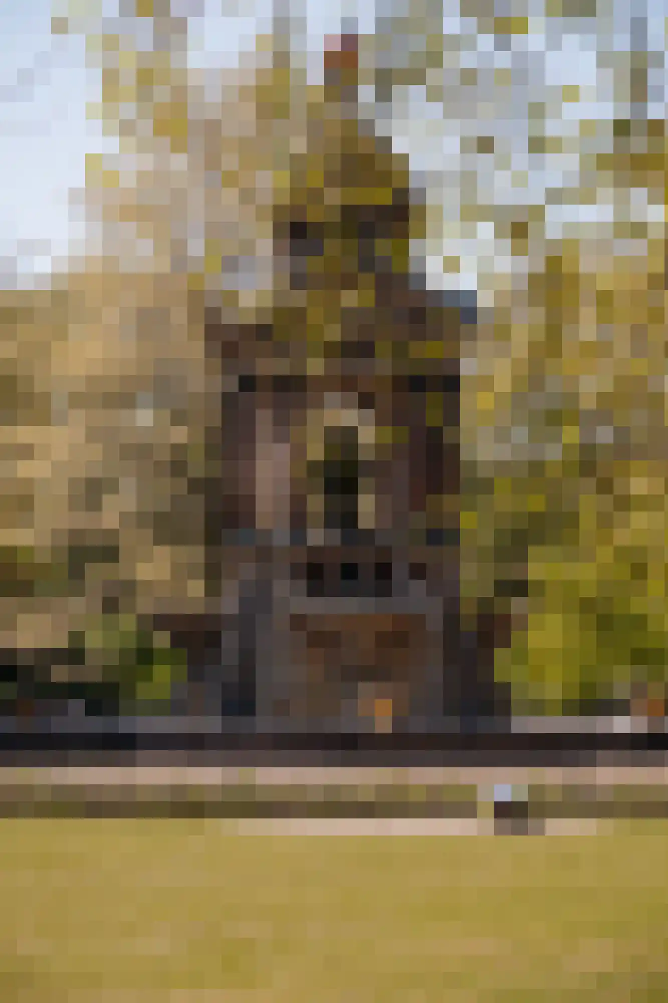 Van Ostadestraat 32 1 Amsterdam thumbnail 24