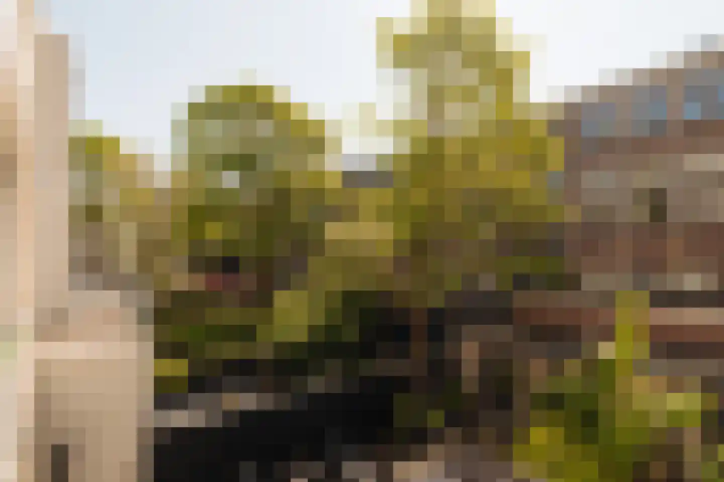 Van Ostadestraat 32 1 Amsterdam thumbnail 8