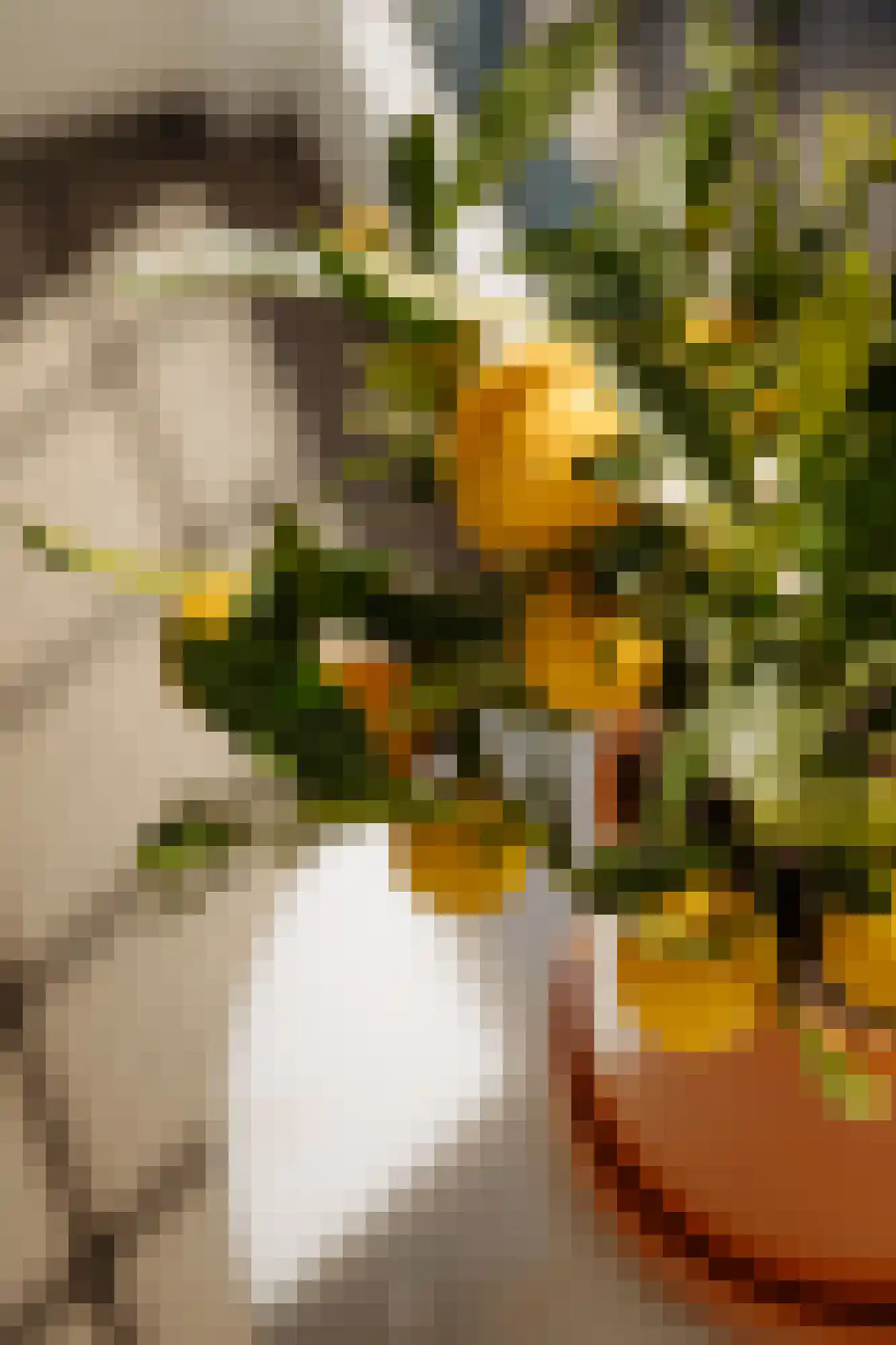 Van Ostadestraat 32 1 Amsterdam thumbnail 9