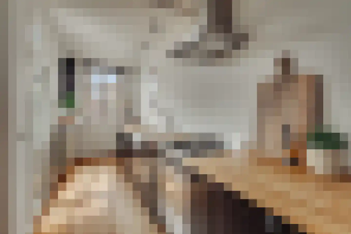 Van Ostadestraat 32 2 Amsterdam thumbnail 13