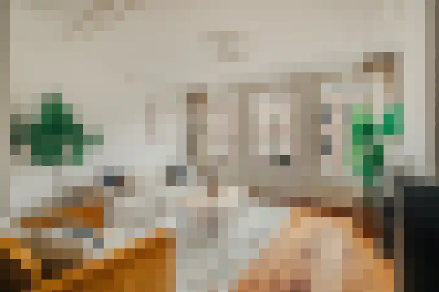 Van Ostadestraat 32 2 Amsterdam thumbnail 5