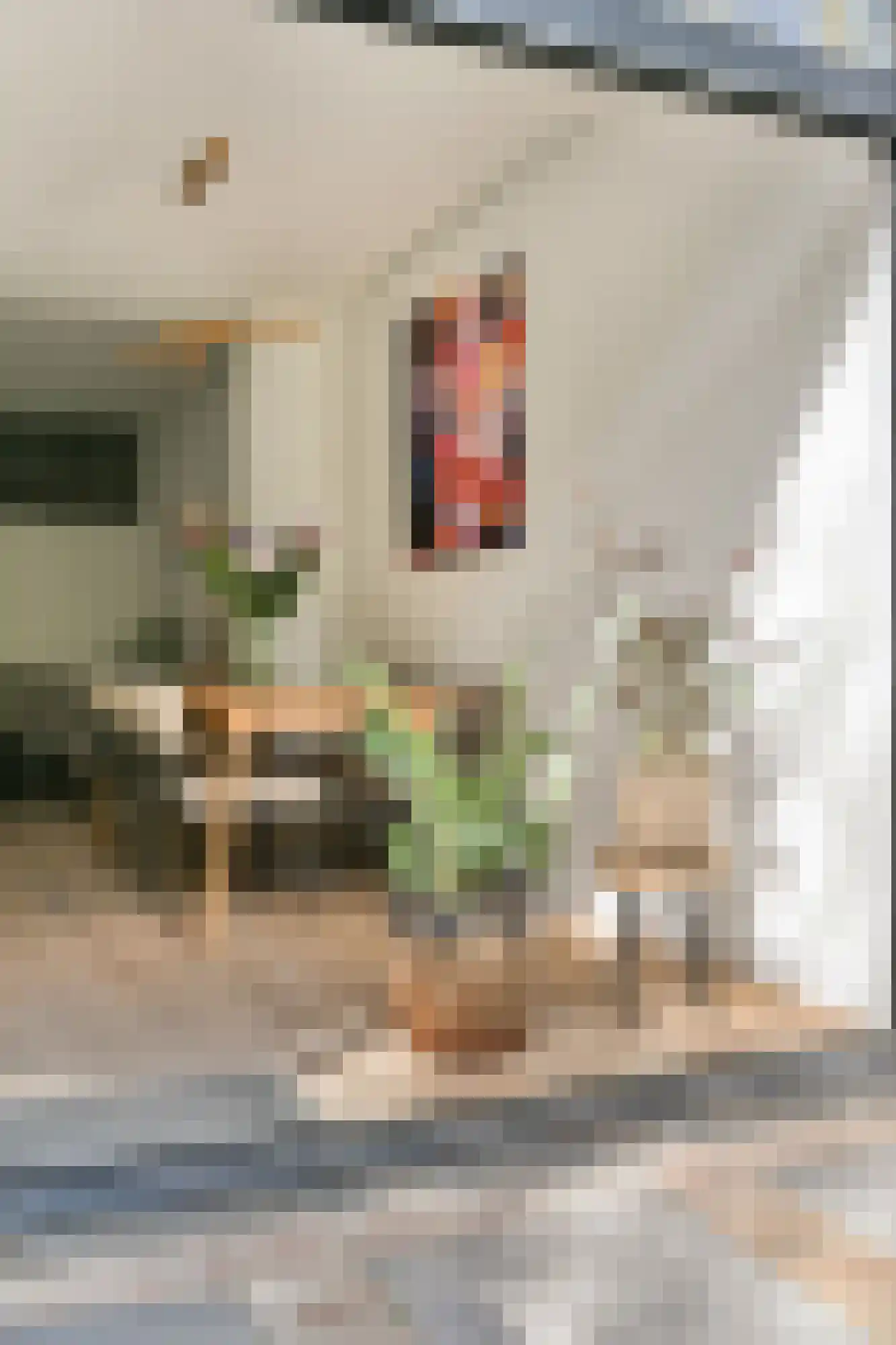 Van Ostadestraat 32 H Amsterdam thumbnail 16