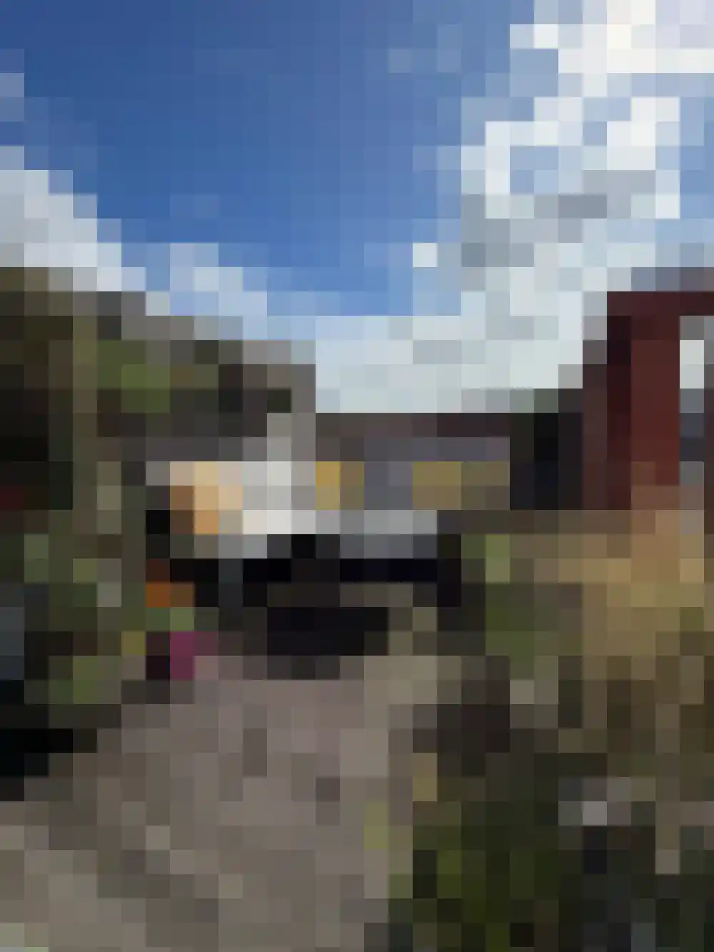 Van Ostadestraat 326 Amsterdam thumbnail 10