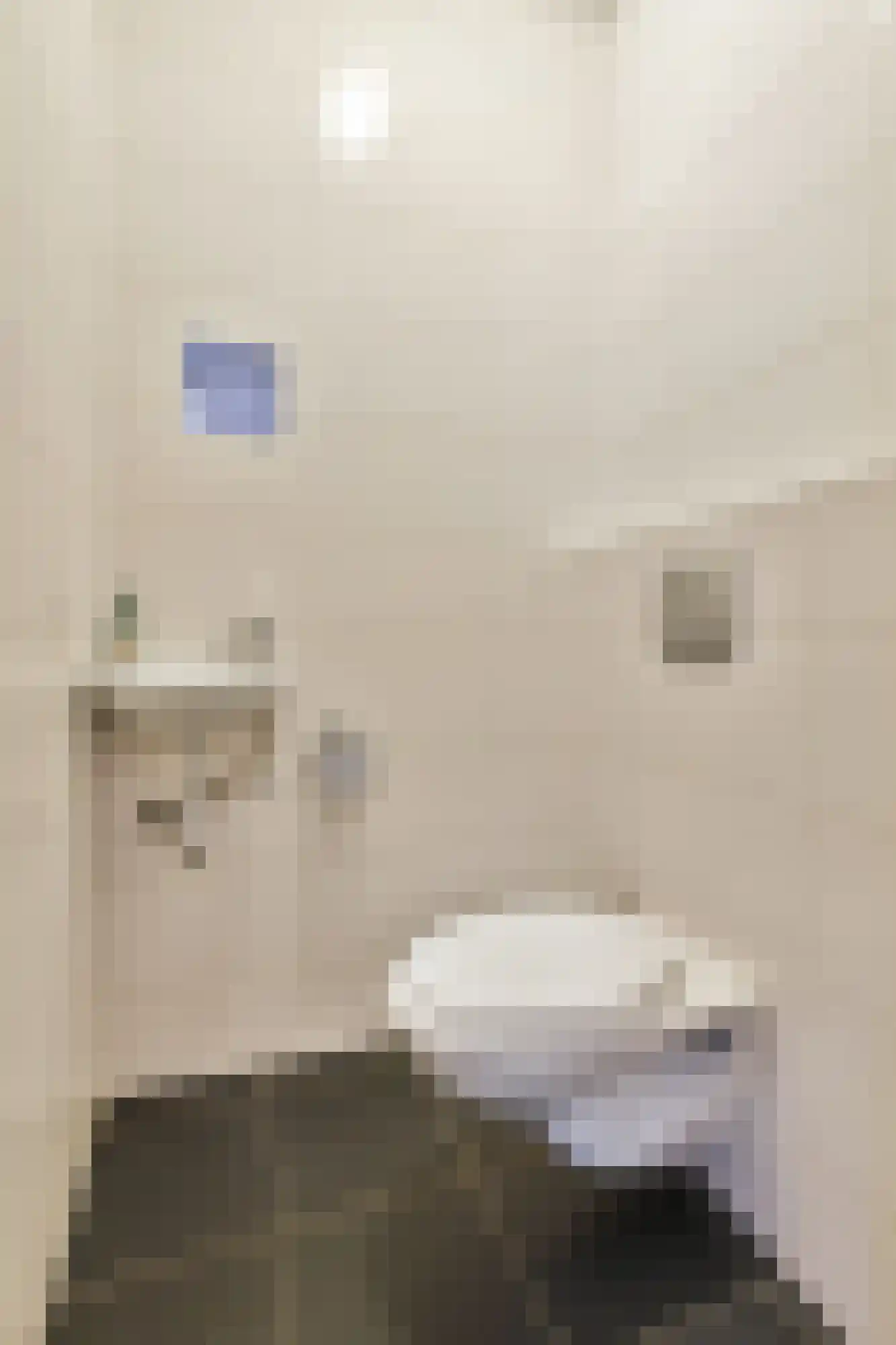 Van Ostadestraat 328 2 Amsterdam thumbnail 17