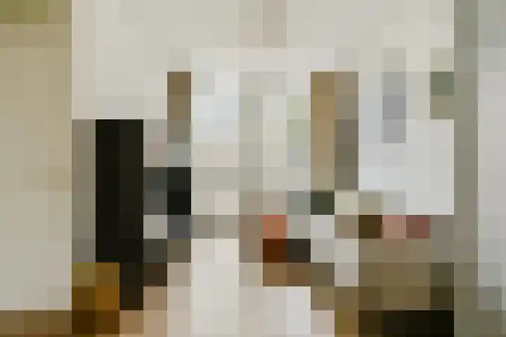 Van Ostadestraat 328 H Amsterdam thumbnail 5