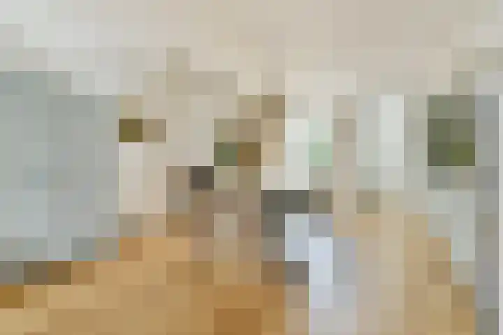 Van Ostadestraat 328 H Amsterdam thumbnail 7