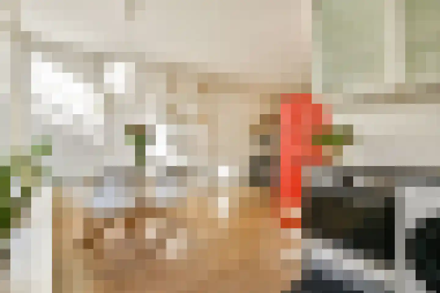 Van Ostadestraat 338 1 Amsterdam thumbnail 6
