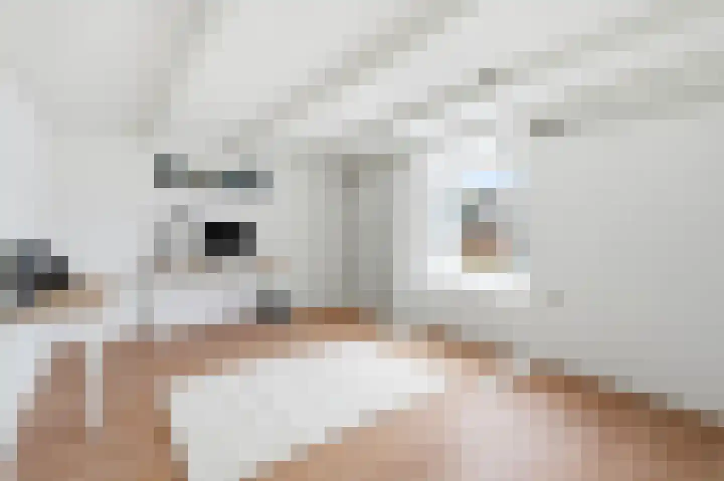 Van Ostadestraat 338 2 Amsterdam thumbnail 20