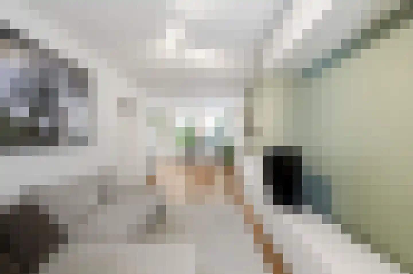Van Ostadestraat 338 2 Amsterdam thumbnail 9