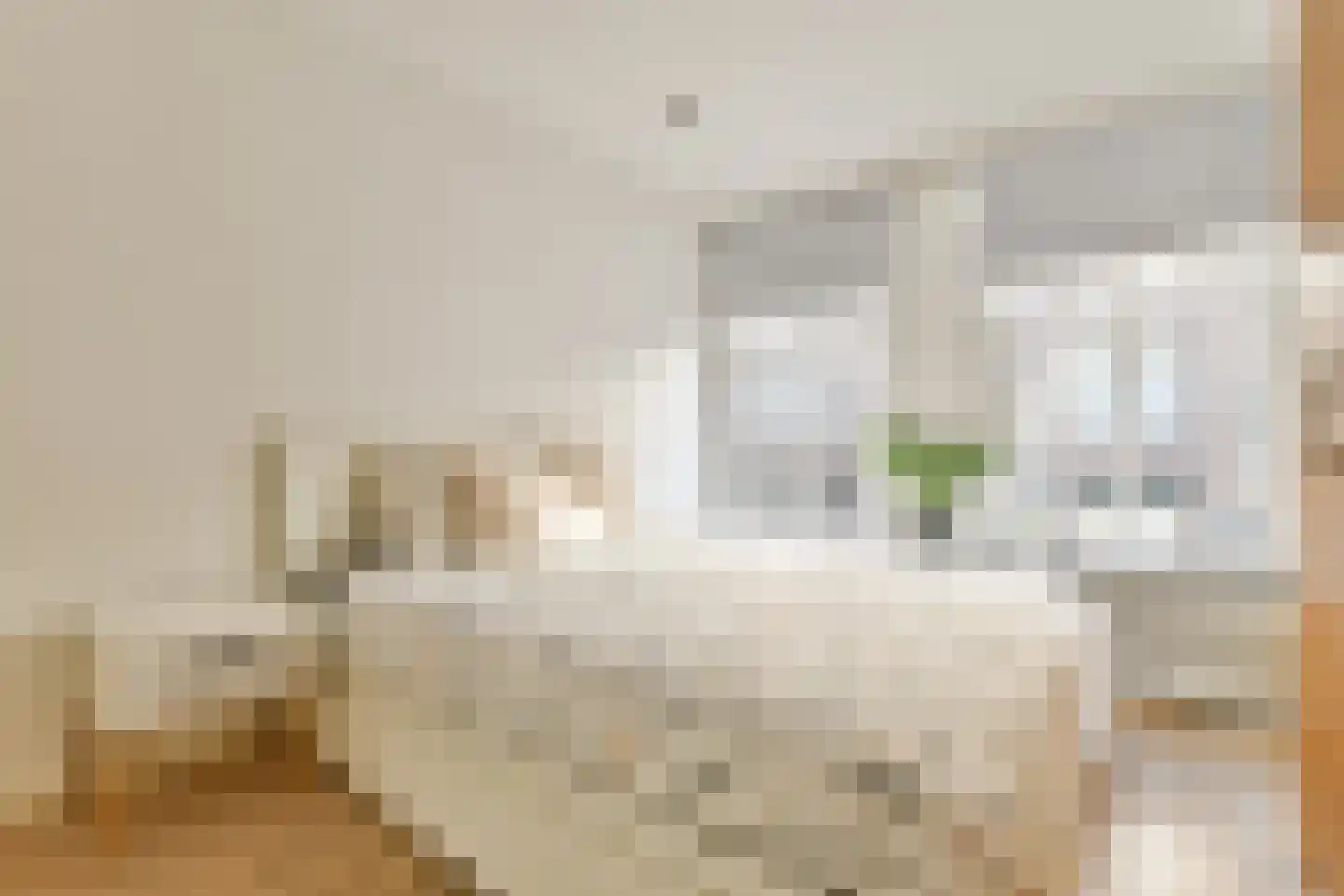 Van Ostadestraat 338 3 Amsterdam thumbnail 10