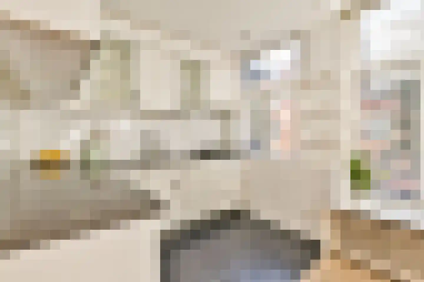 Van Ostadestraat 338 3 Amsterdam thumbnail 4