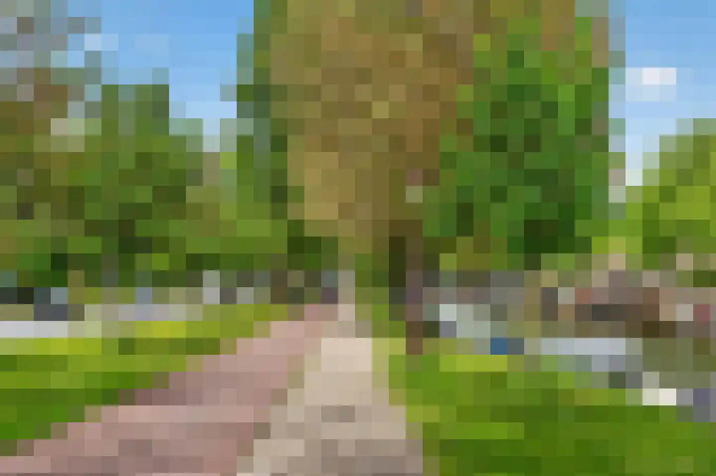 Van Ostadestraat 34 2 Amsterdam thumbnail 35