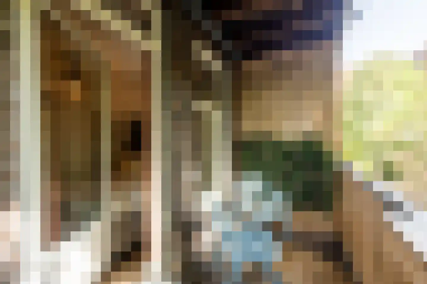 Van Ostadestraat 340 1 Amsterdam thumbnail 14