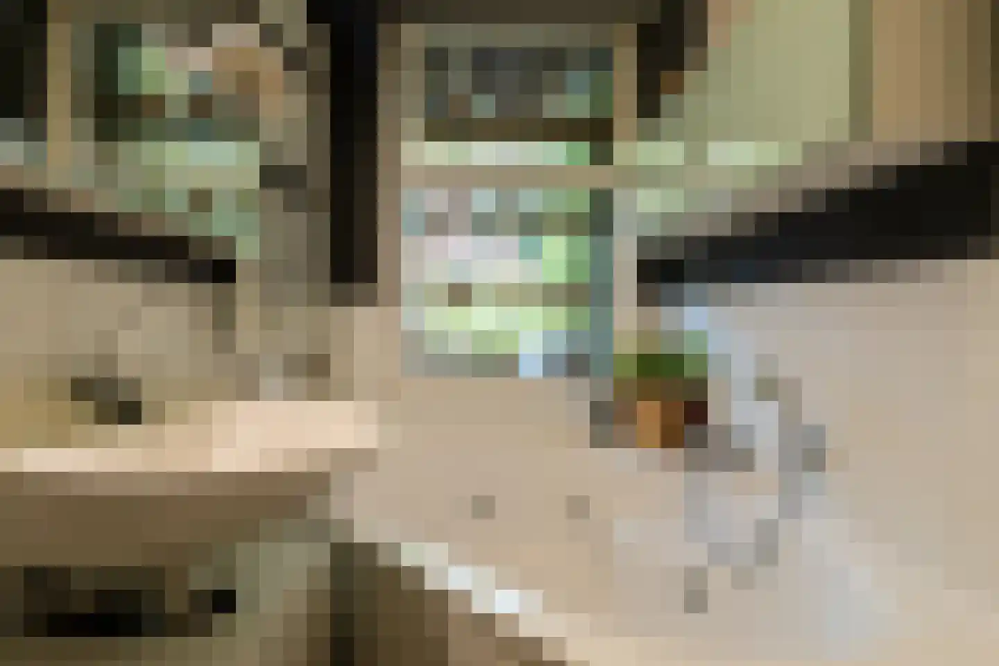 Van Ostadestraat 340 1 Amsterdam thumbnail 20
