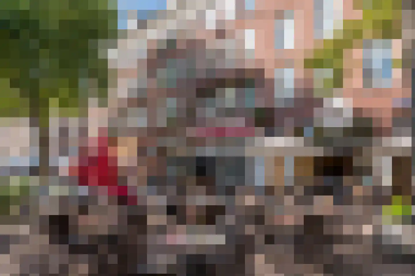 Van Ostadestraat 340 1 Amsterdam thumbnail 26