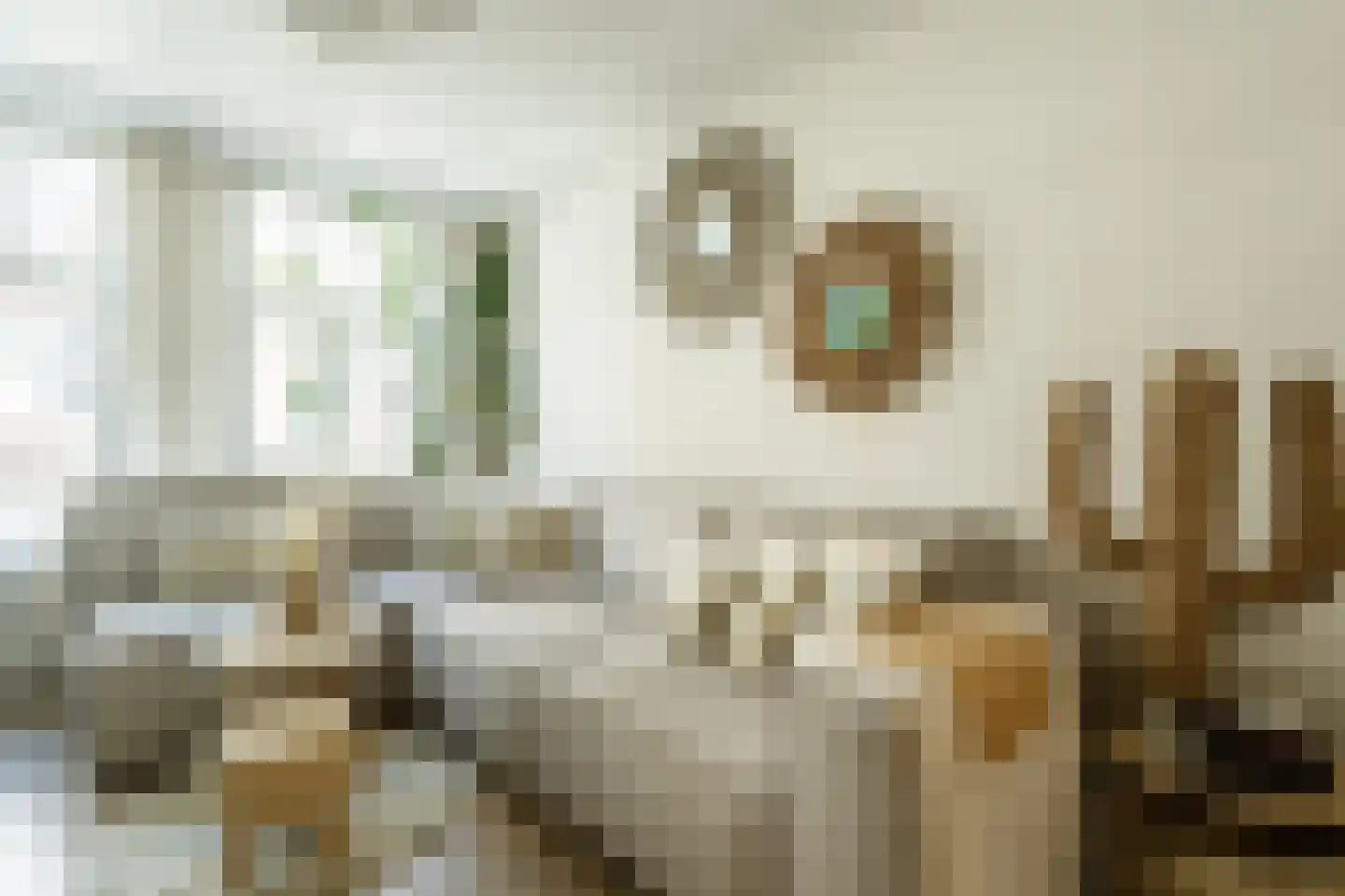 Van Ostadestraat 340 1 Amsterdam thumbnail 4