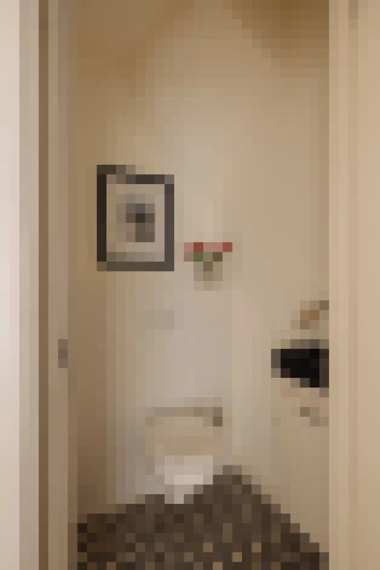 Van Ostadestraat 350 1 Amsterdam thumbnail 15