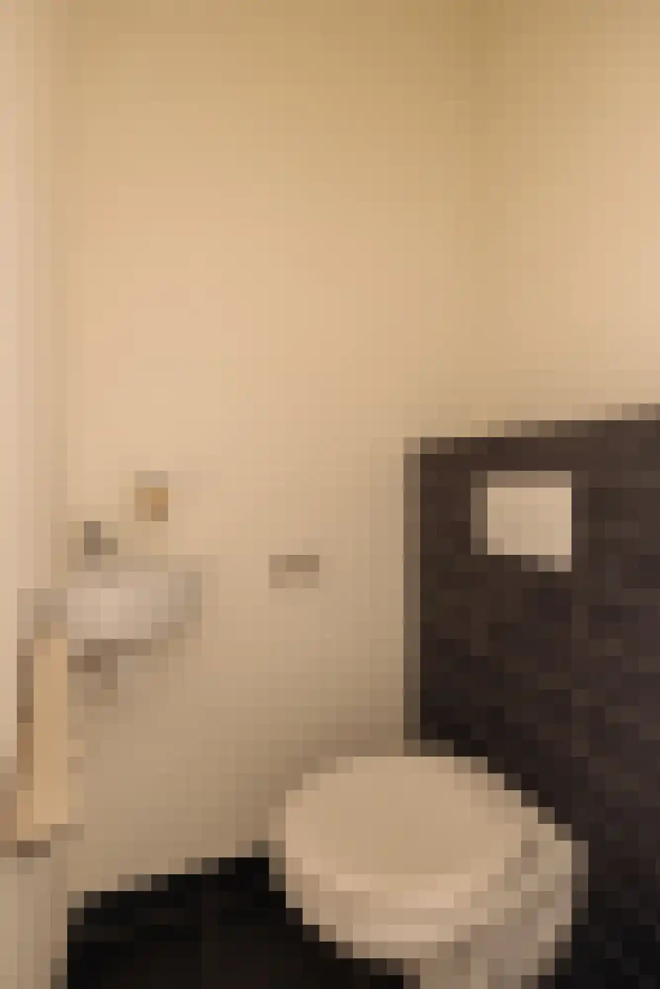 Van Ostadestraat 350 1 Amsterdam thumbnail 33