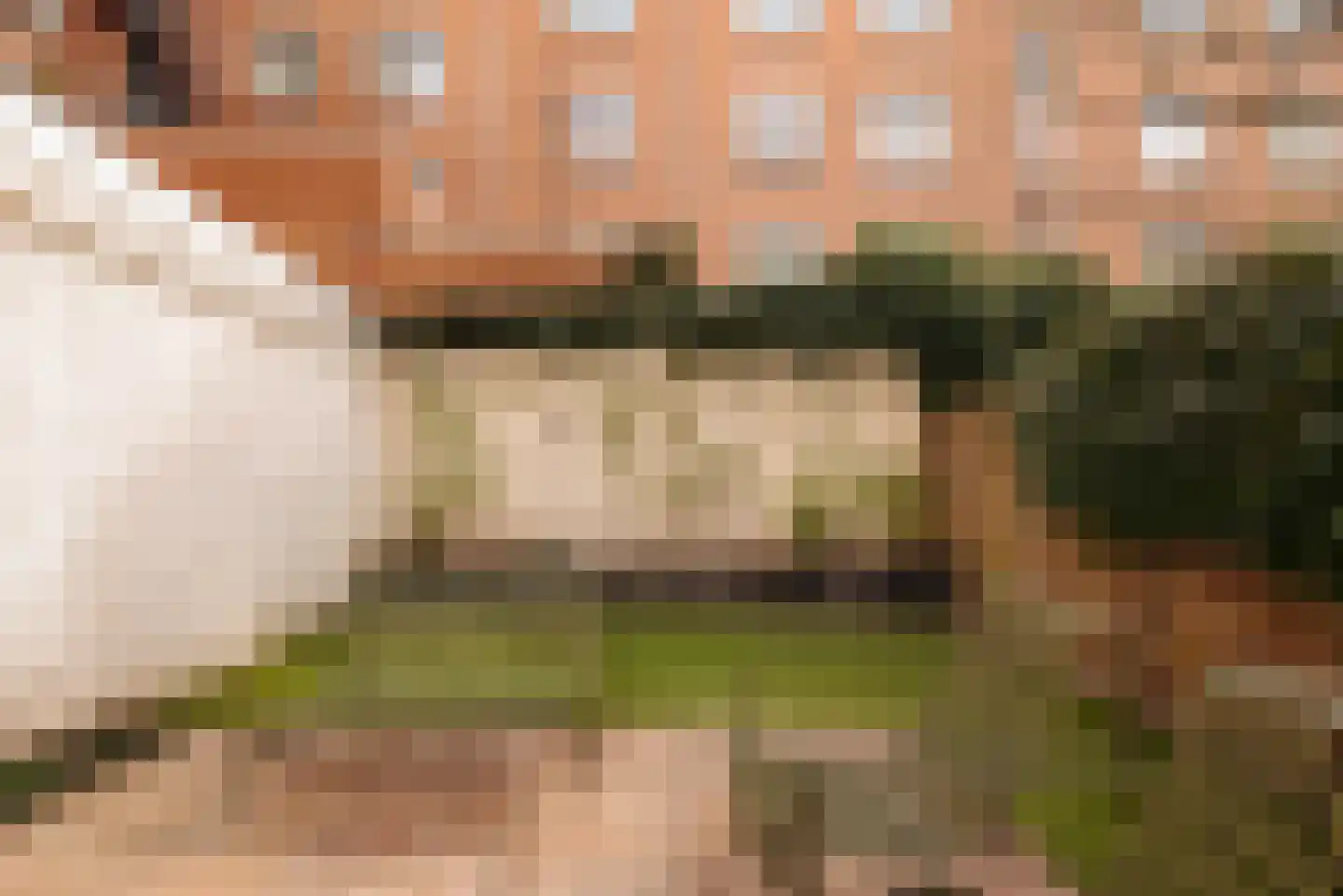Van Ostadestraat 350 1 Amsterdam thumbnail 4