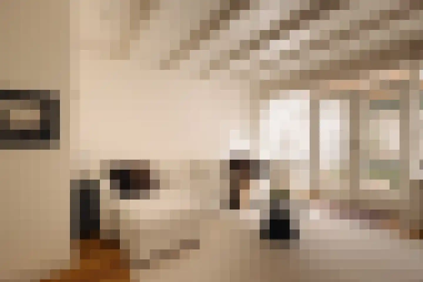Van Ostadestraat 350 1 Amsterdam thumbnail 6