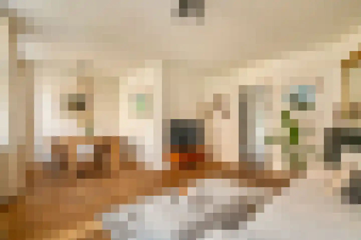 Van Ostadestraat 368 1 Amsterdam thumbnail 9