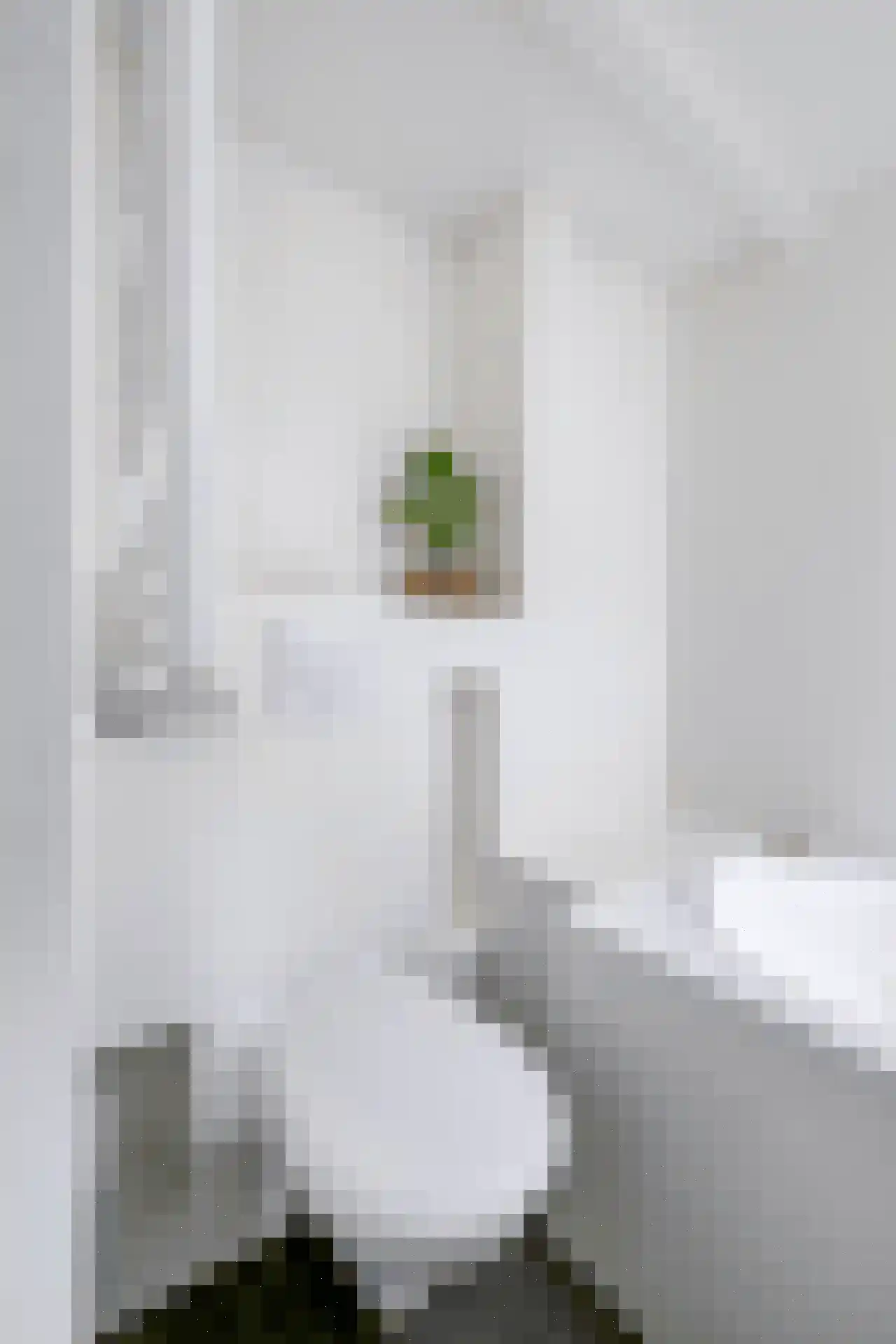Van Ostadestraat 374 4 Amsterdam thumbnail 24