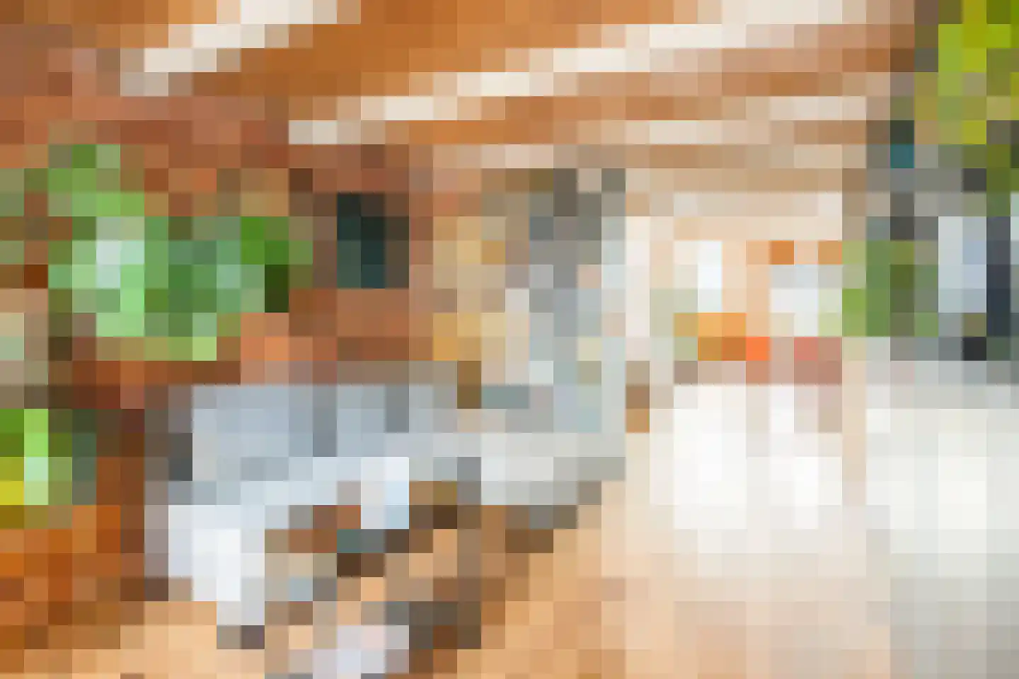 Van Ostadestraat 380 4 Amsterdam thumbnail 6