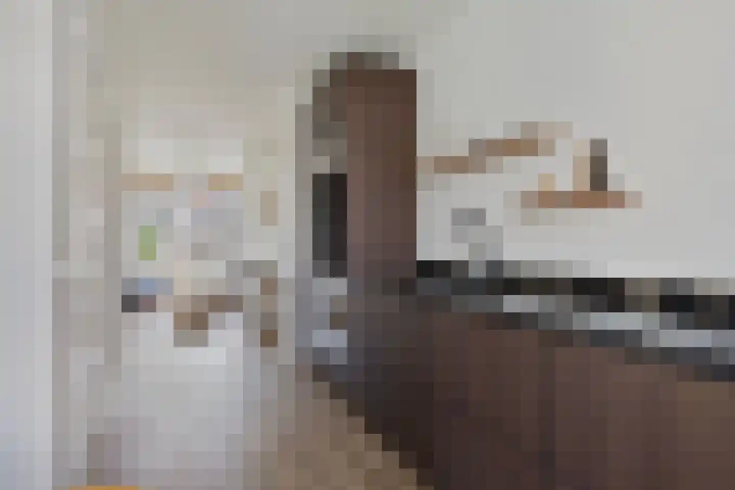 Van Ostadestraat 385 3 Amsterdam thumbnail 14
