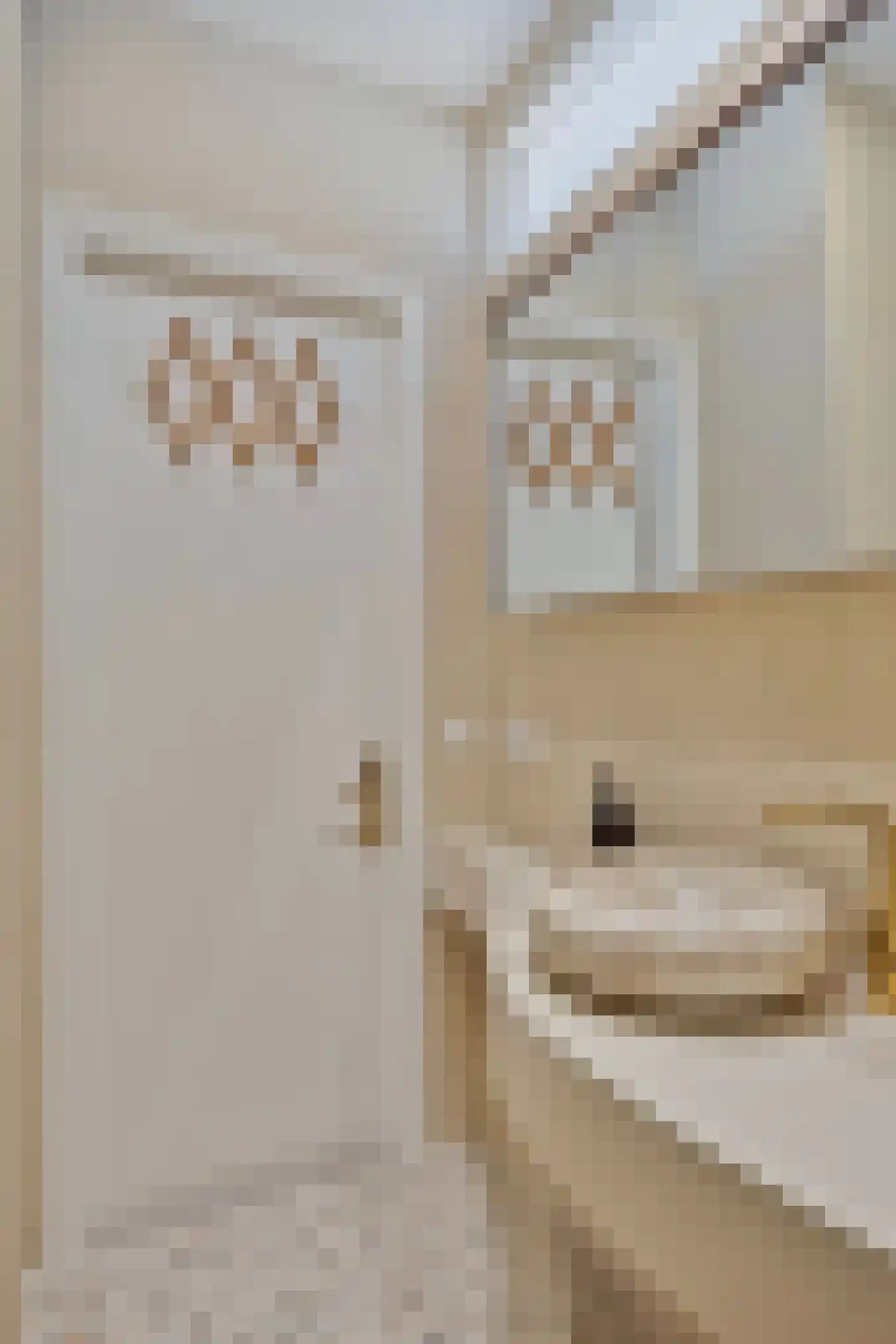 Van Ostadestraat 385 3 Amsterdam thumbnail 21