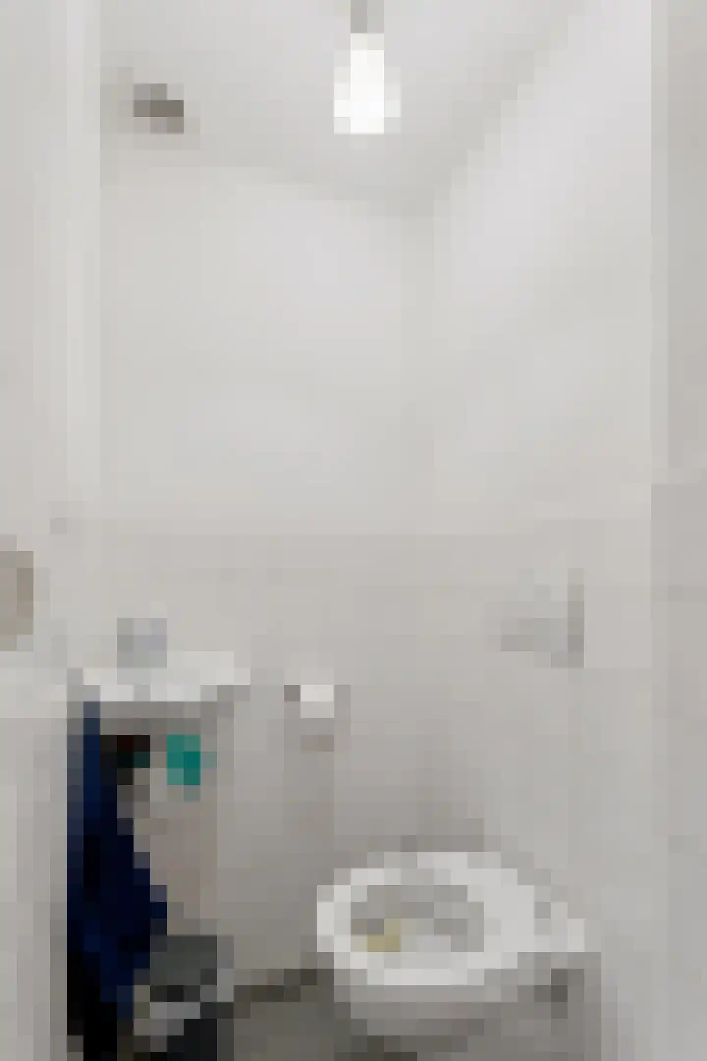 Van Ostadestraat 385 H Amsterdam thumbnail 20