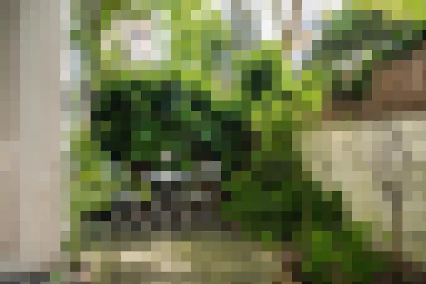 Van Ostadestraat 388 2 Amsterdam thumbnail 5