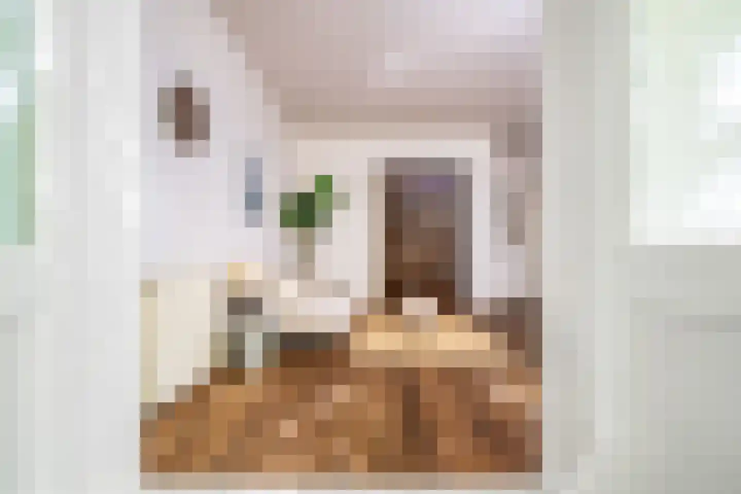 Van Ostadestraat 388 H Amsterdam thumbnail 8