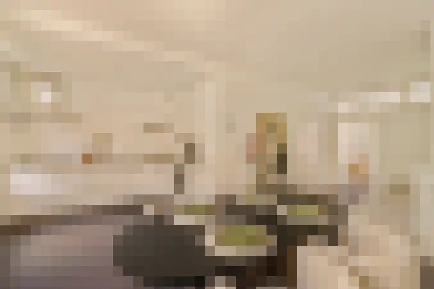 Van Ostadestraat 392 2 Amsterdam thumbnail 4