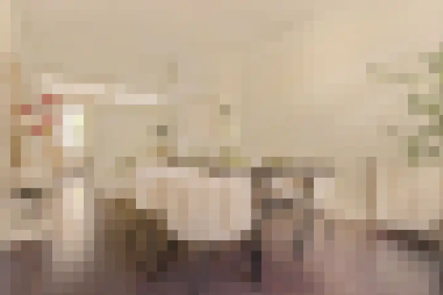 Van Ostadestraat 392 2 Amsterdam thumbnail 6