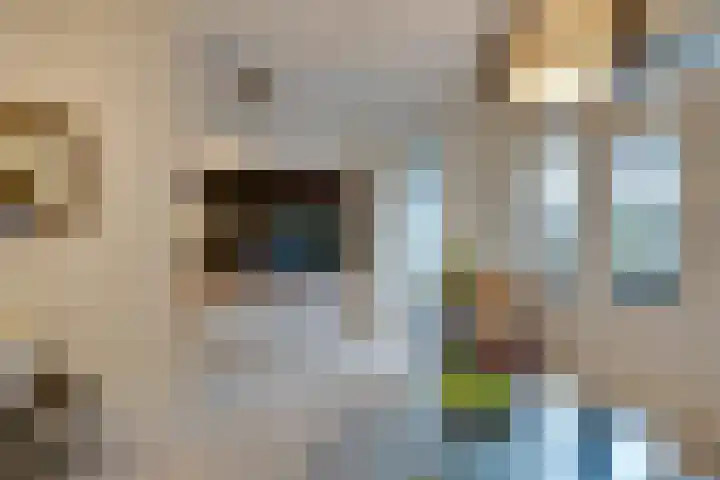 Van Ostadestraat 394 3 Amsterdam thumbnail 12