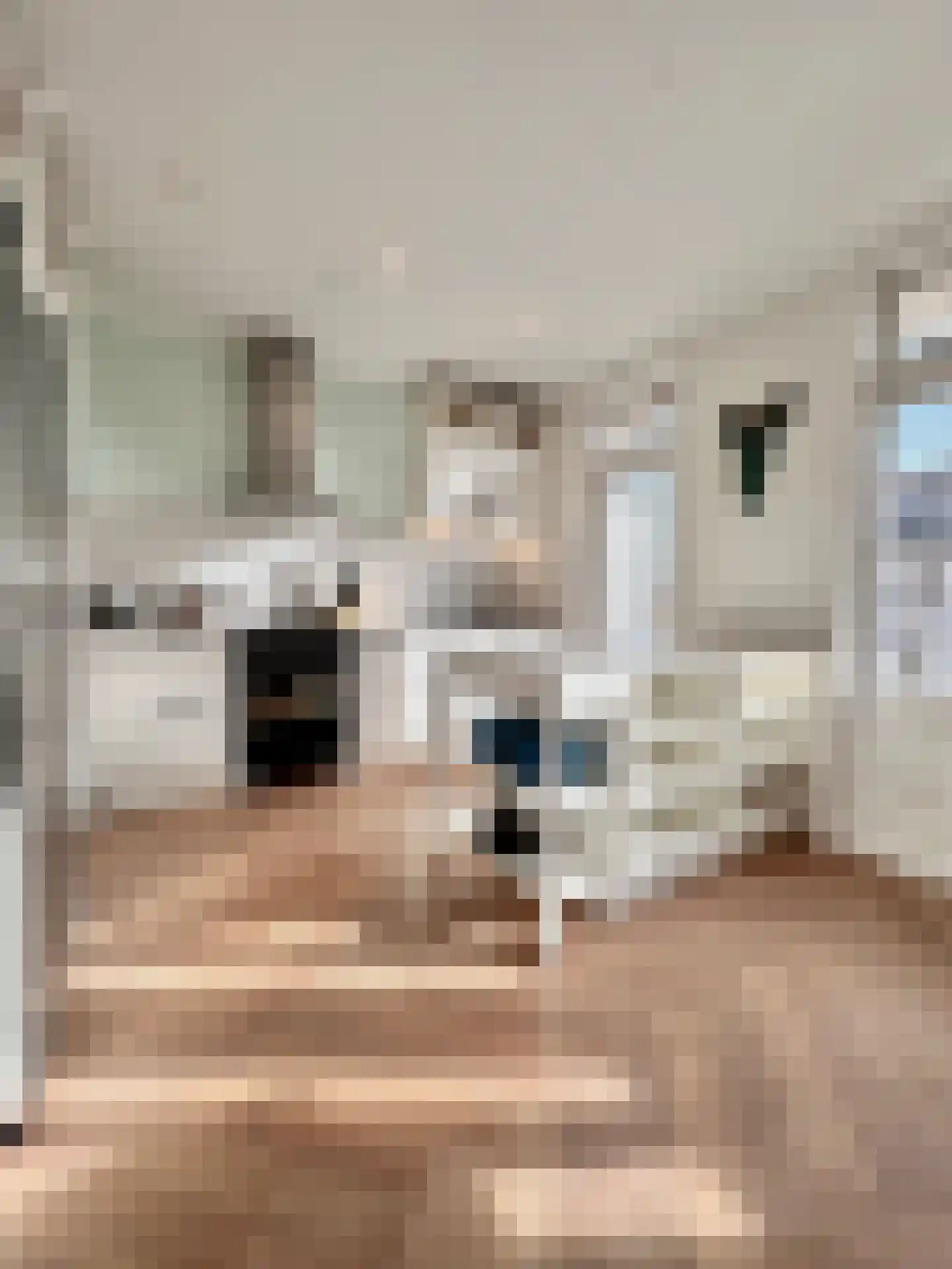 Van Ostadestraat 394 3 Amsterdam thumbnail 13