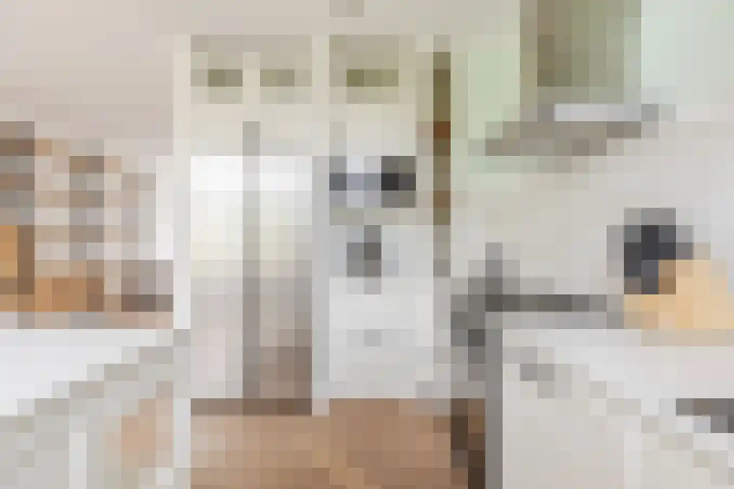 Van Ostadestraat 394 3 Amsterdam thumbnail 21