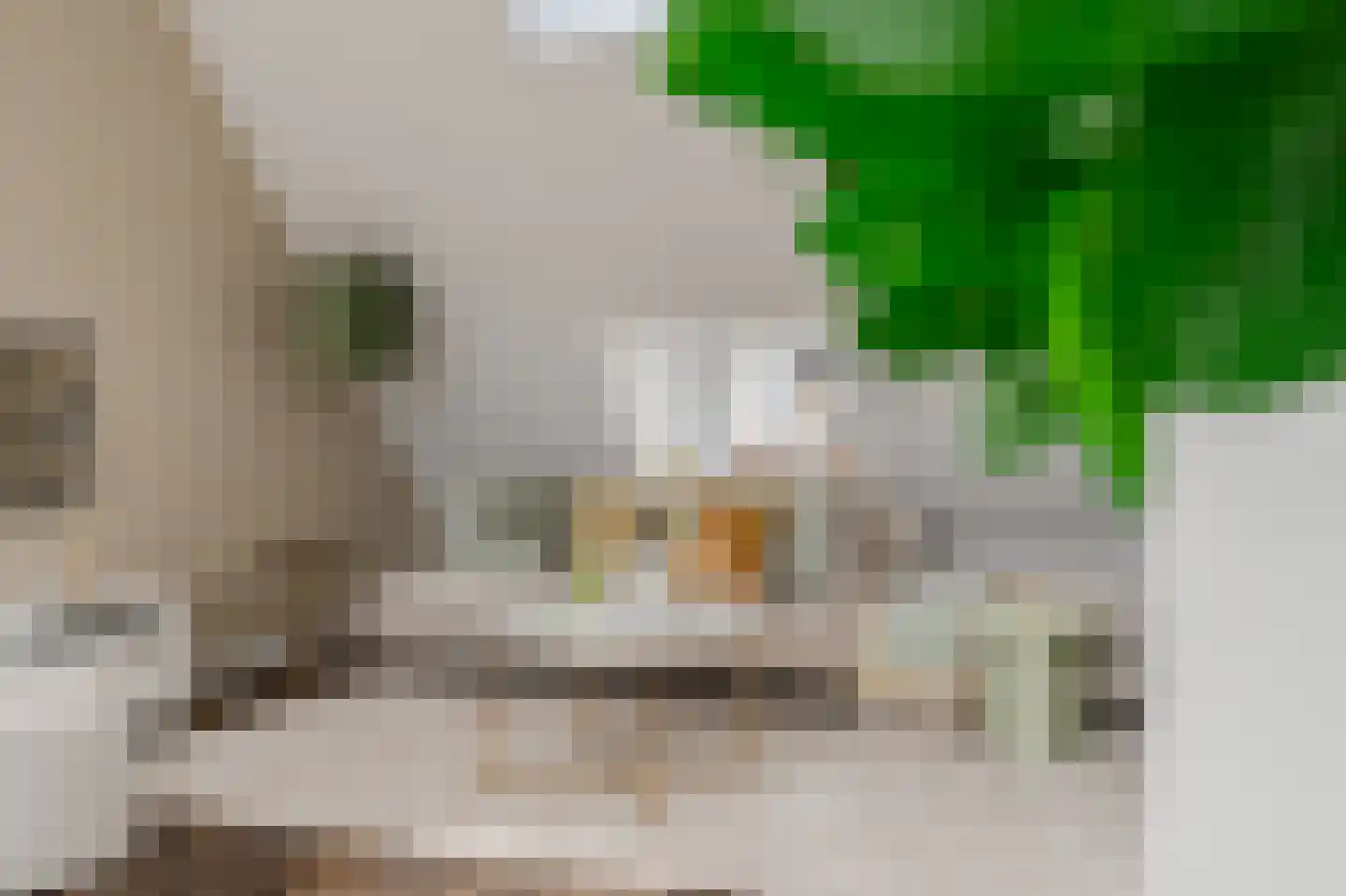 Van Ostadestraat 398 3 Amsterdam thumbnail 28