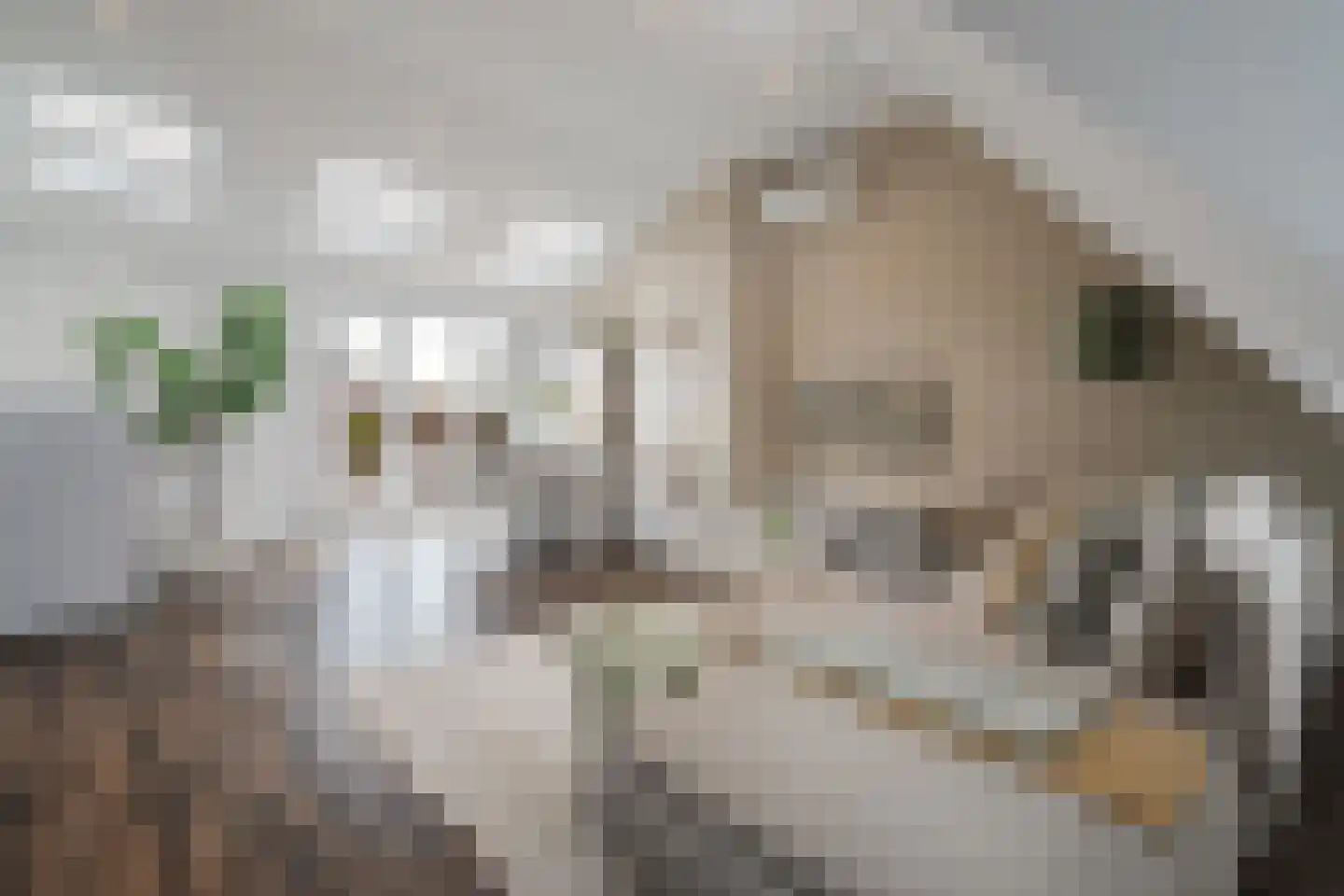Van Ostadestraat 398 3 Amsterdam thumbnail 30