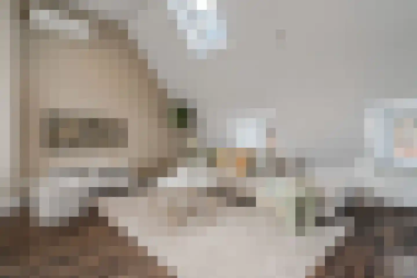 Van Ostadestraat 398 3 Amsterdam thumbnail 31