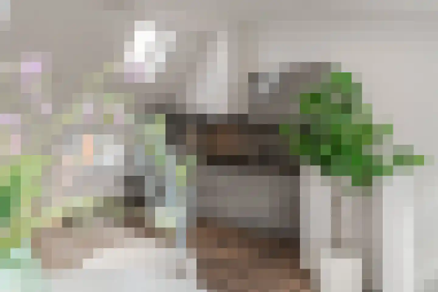 Van Ostadestraat 398 3 Amsterdam thumbnail 35