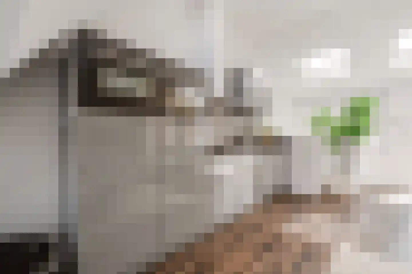 Van Ostadestraat 398 3 Amsterdam thumbnail 37