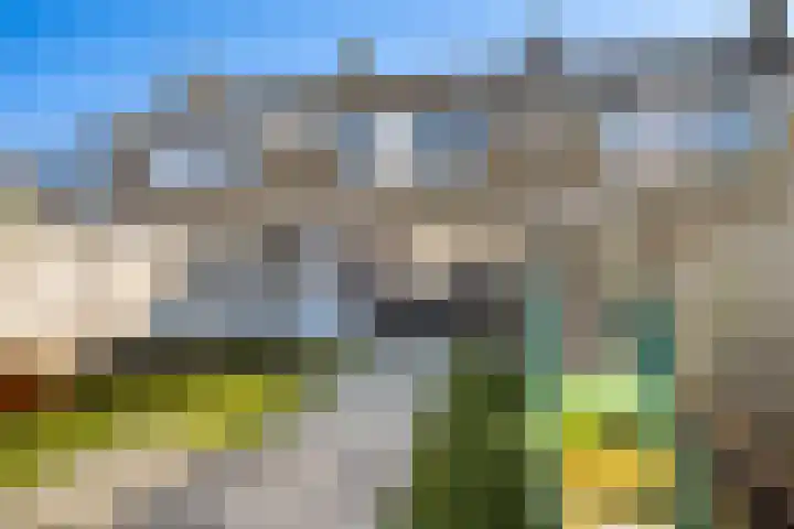 van Ostadestraat 4 Oud-Beijerland thumbnail 14