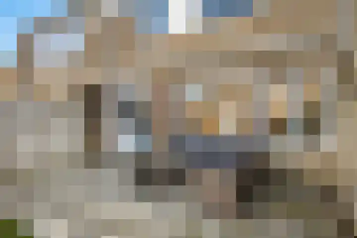 van Ostadestraat 4 Oud-Beijerland thumbnail 15