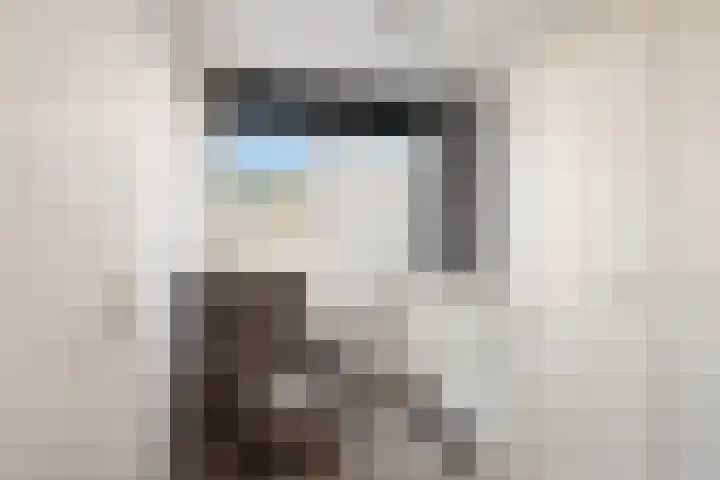 van Ostadestraat 4 Oud-Beijerland thumbnail 23