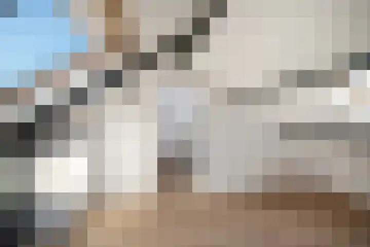 van Ostadestraat 4 Oud-Beijerland thumbnail 27